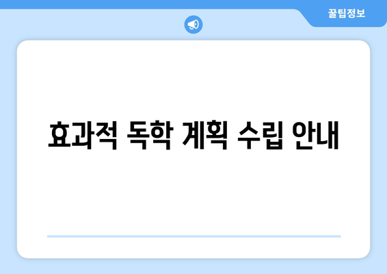 효과적 독학 계획 수립 안내