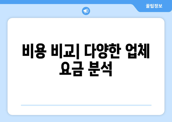 비용 비교| 다양한 업체 요금 분석