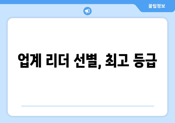 업계 리더 선별, 최고 등급