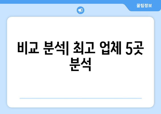 비교 분석| 최고 업체 5곳 분석