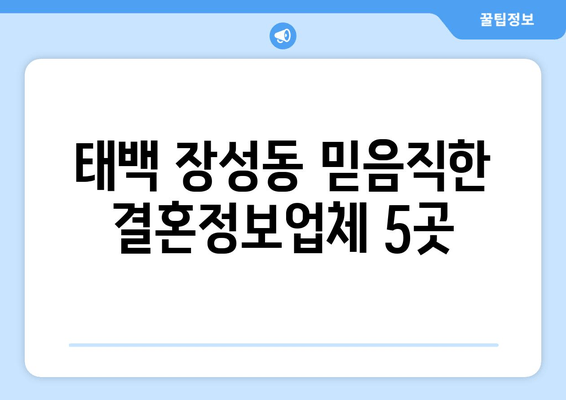 태백 장성동 믿음직한 결혼정보업체 5곳