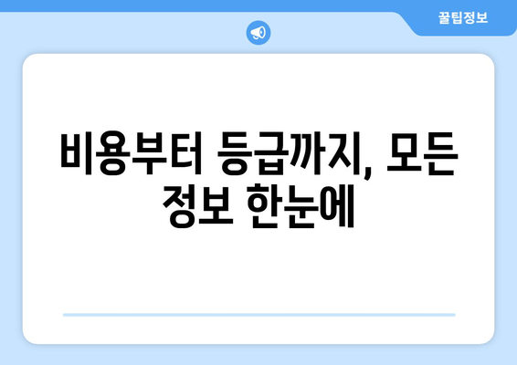 비용부터 등급까지, 모든 정보 한눈에