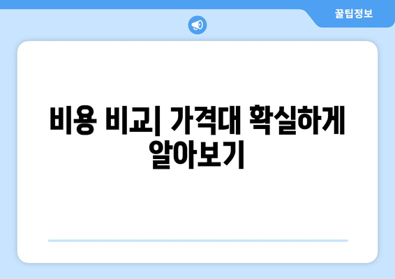 비용 비교| 가격대 확실하게 알아보기