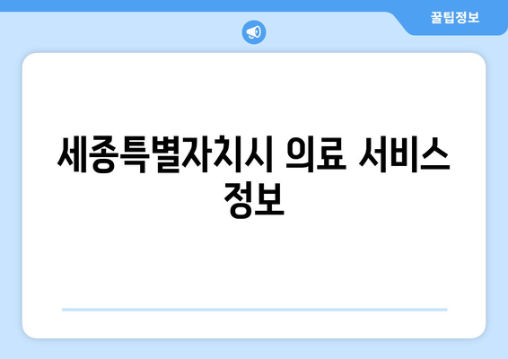 세종특별자치시 의료 서비스 정보