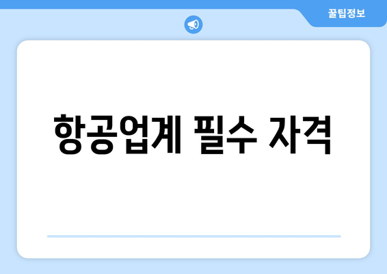 항공업계 필수 자격