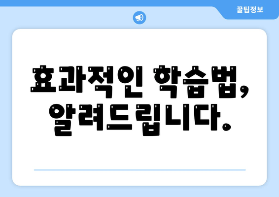 효과적인 학습법, 알려드립니다.