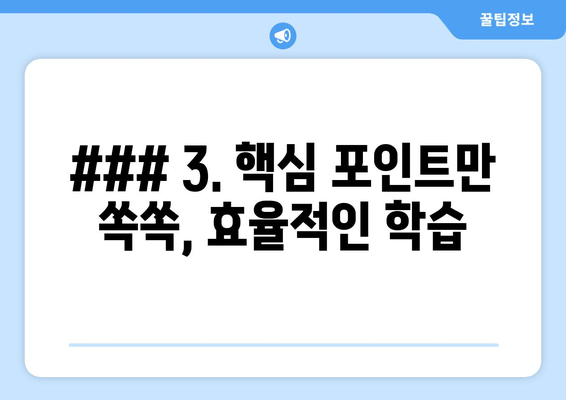 ### 3. 핵심 포인트만 쏙쏙, 효율적인 학습