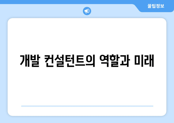 개발 컨설턴트의 역할과 미래