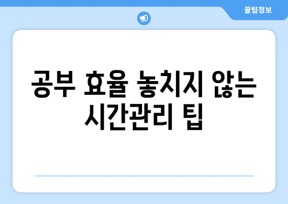 공부 효율 놓치지 않는 시간관리 팁