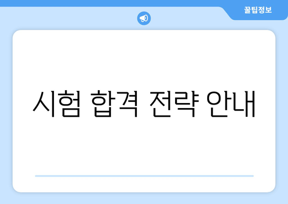 시험 합격 전략 안내