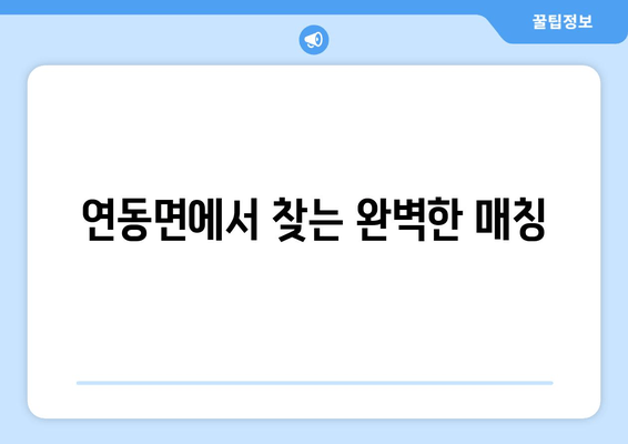 연동면에서 찾는 완벽한 매칭