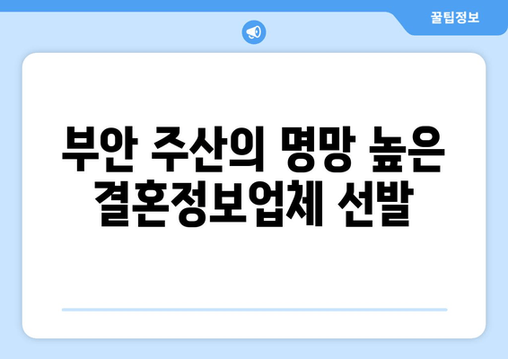 부안 주산의 명망 높은 결혼정보업체 선발