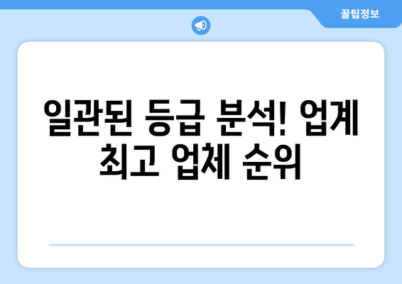 일관된 등급 분석! 업계 최고 업체 순위