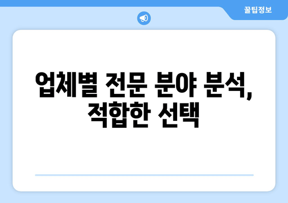 업체별 전문 분야 분석, 적합한 선택