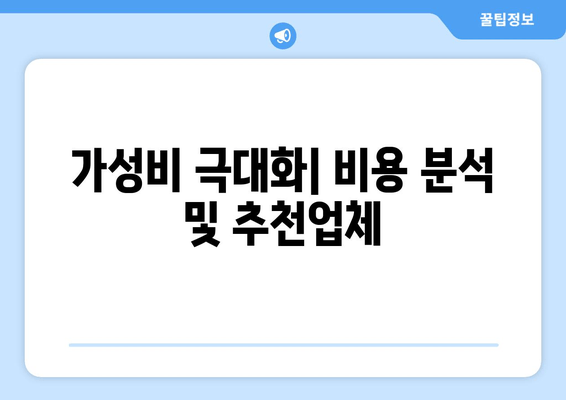 가성비 극대화| 비용 분석 및 추천업체