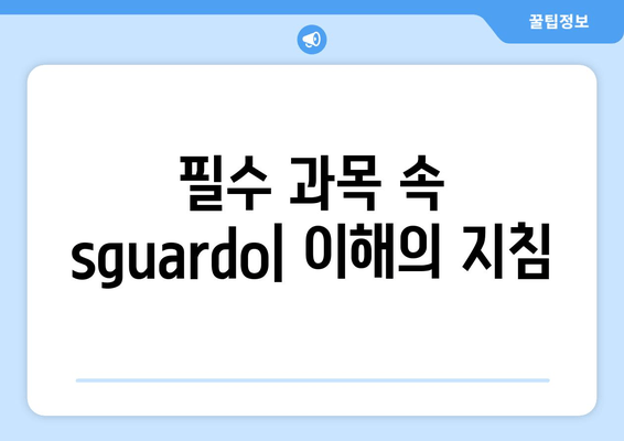 필수 과목 속 sguardo| 이해의 지침