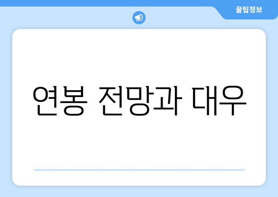 연봉 전망과 대우