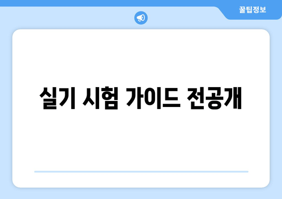 실기 시험 가이드 전공개