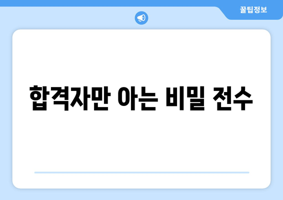 합격자만 아는 비밀 전수