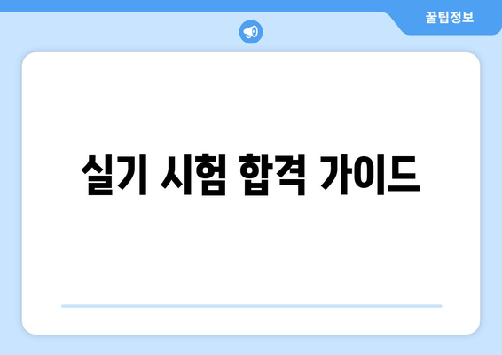 실기 시험 합격 가이드