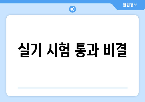 실기 시험 통과 비결