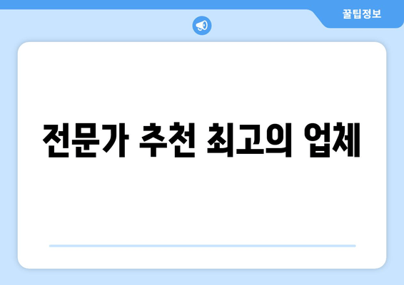 전문가 추천 최고의 업체