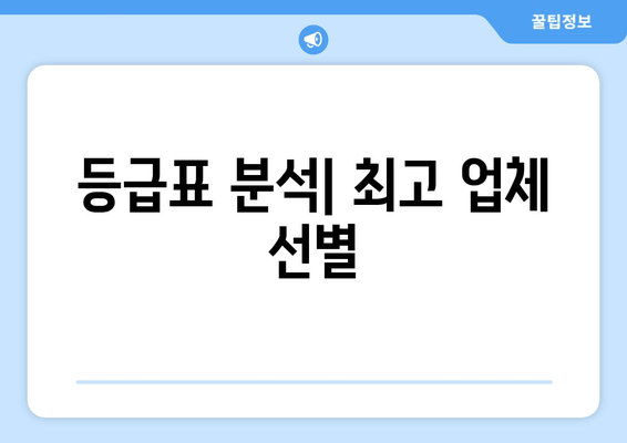 등급표 분석| 최고 업체 선별