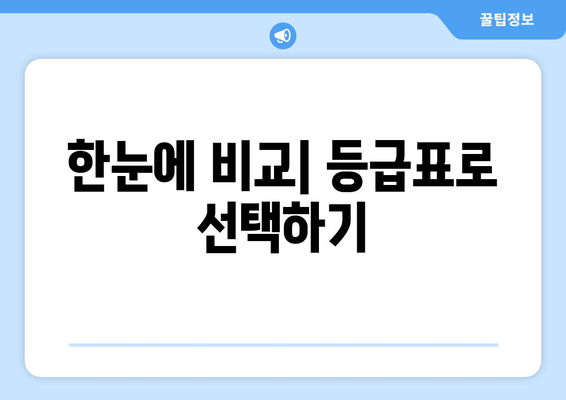 한눈에 비교| 등급표로 선택하기