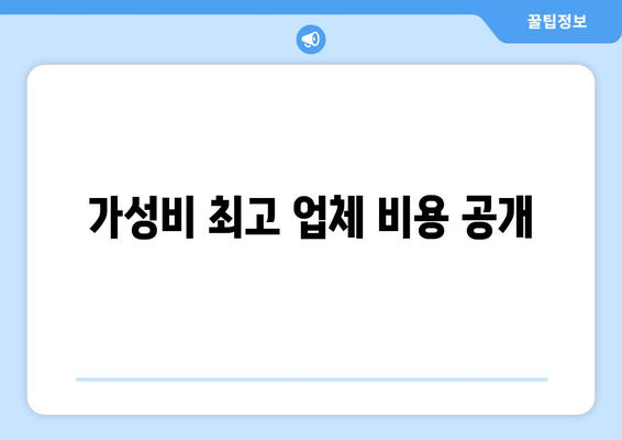 가성비 최고 업체 비용 공개