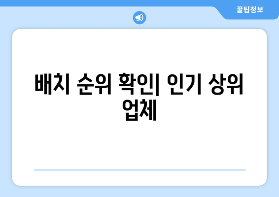 배치 순위 확인| 인기 상위 업체