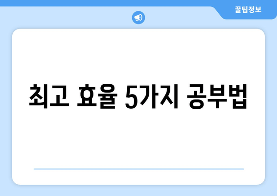 최고 효율 5가지 공부법