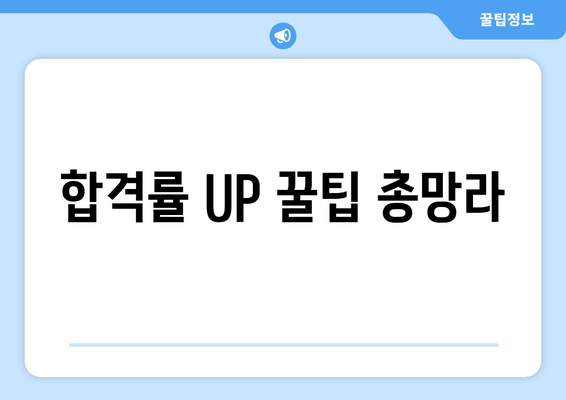 합격률 UP 꿀팁 총망라