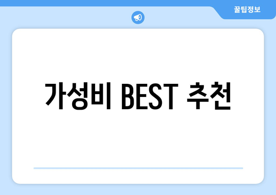 가성비 BEST 추천