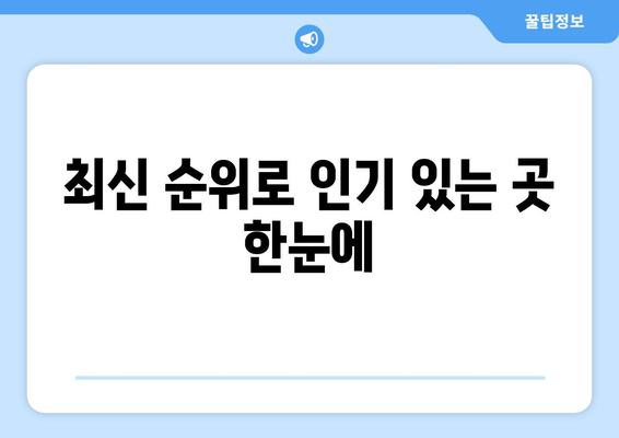 최신 순위로 인기 있는 곳 한눈에