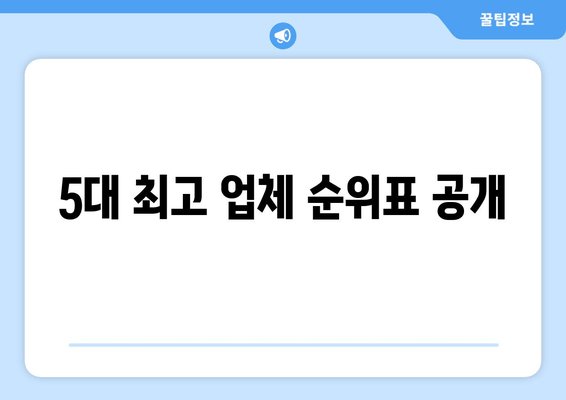 5대 최고 업체 순위표 공개