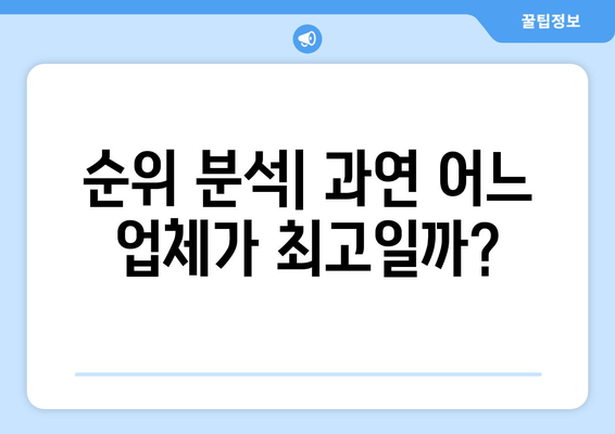 순위 분석| 과연 어느 업체가 최고일까?