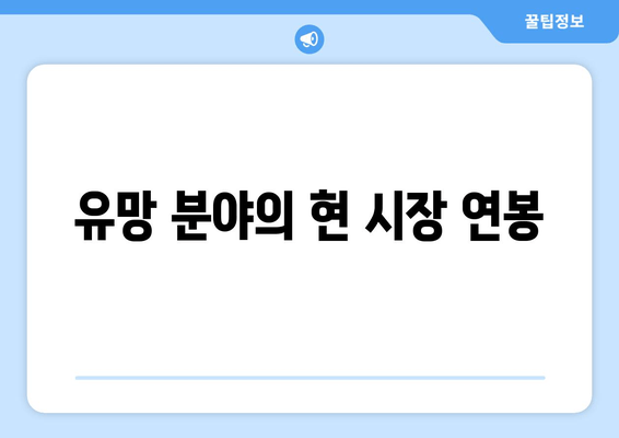 유망 분야의 현 시장 연봉