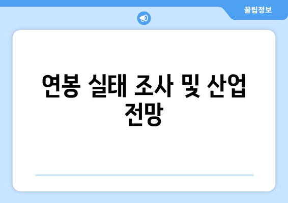 연봉 실태 조사 및 산업 전망