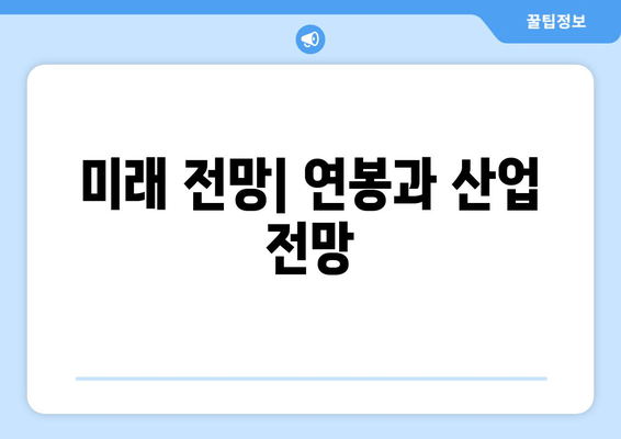 미래 전망| 연봉과 산업 전망