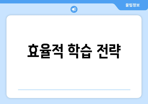 효율적 학습 전략