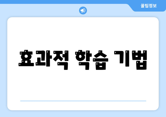 효과적 학습 기법