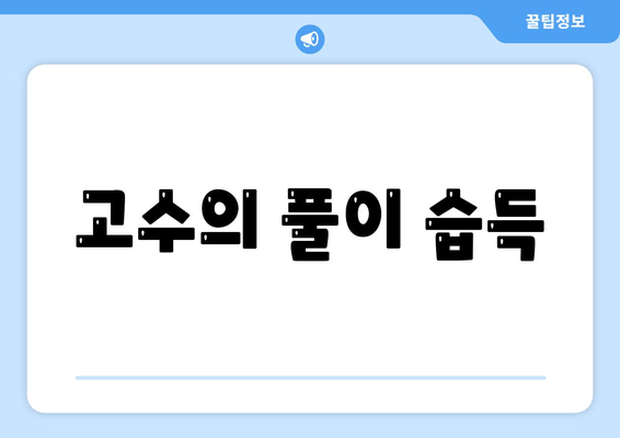 고수의 풀이 습득