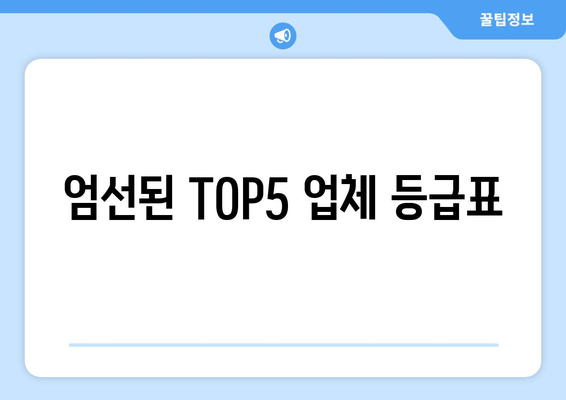 엄선된 TOP5 업체 등급표