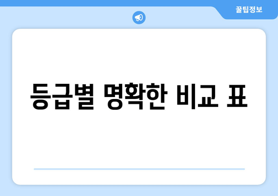 등급별 명확한 비교 표