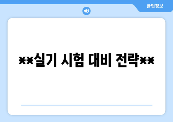 **실기 시험 대비 전략**