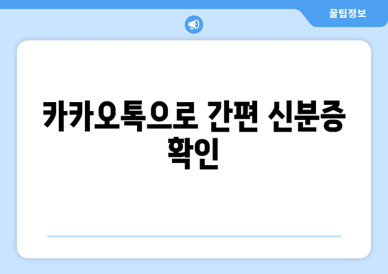 카카오톡으로 간편 신분증 확인