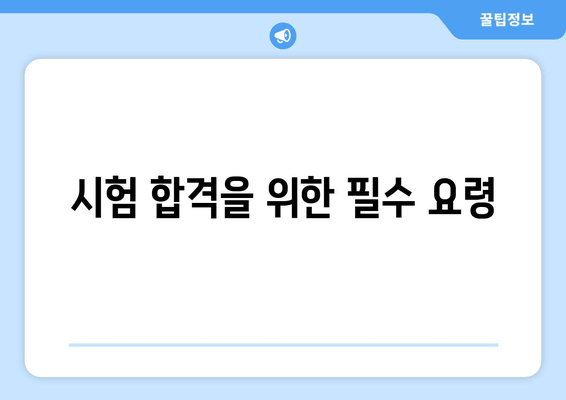 시험 합격을 위한 필수 요령