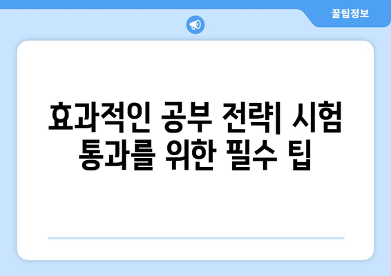 효과적인 공부 전략| 시험 통과를 위한 필수 팁