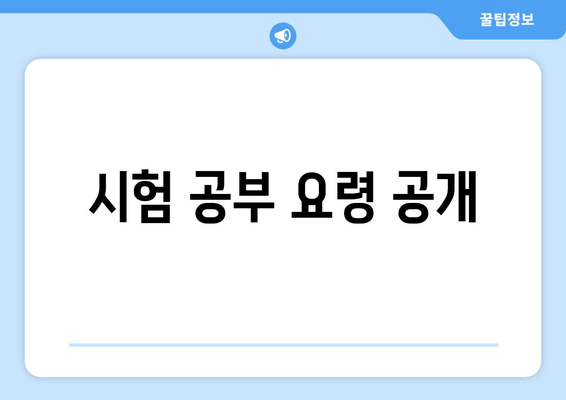 시험 공부 요령 공개