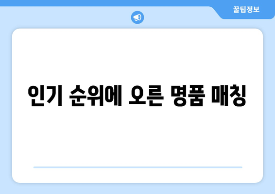 인기 순위에 오른 명품 매칭